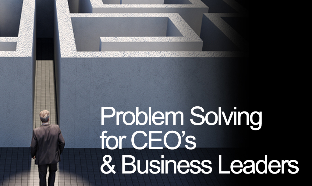 problem solving for ceos